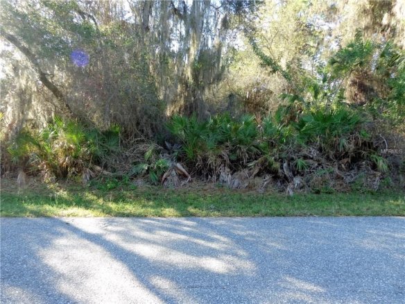 GABLES DR,EUSTIS,32726