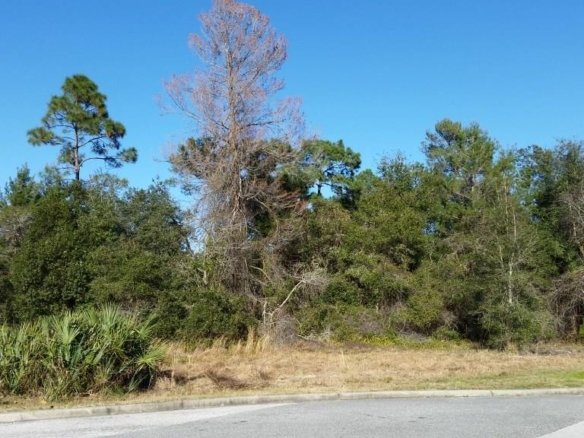 COURTLAND BLVD,DELTONA,32738