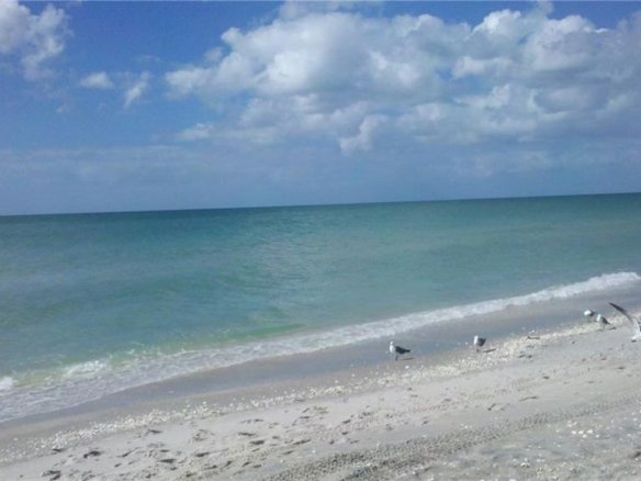 3512  EL JOBEAN RD ,PORT CHARLOTTE,33953