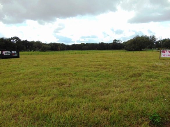 33916  COUNTY ROAD 437  ,SORRENTO,32776