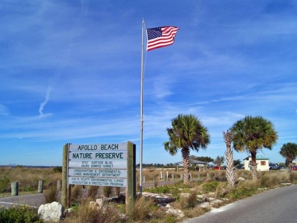 6400 APOLLO BEACH BLVD,APOLLO BEACH,33572
